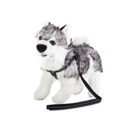 Шлейка для кошек и собак + светоотражающий поводок 1,5 см синий